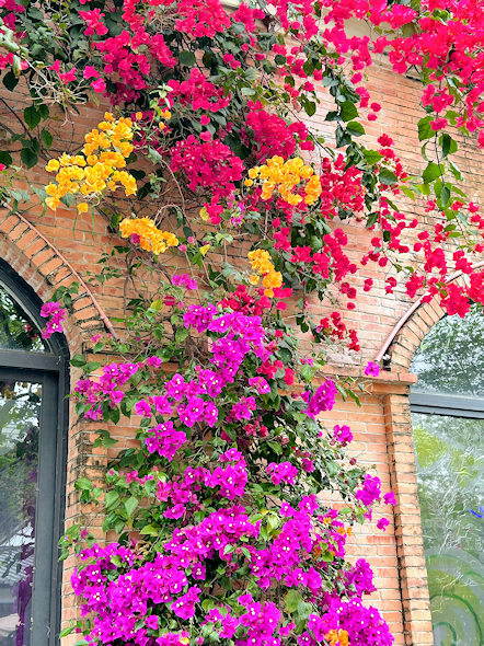 深圳の観光地、甘坑古鎮