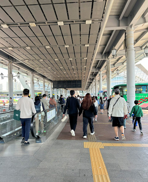 深圳湾口岸