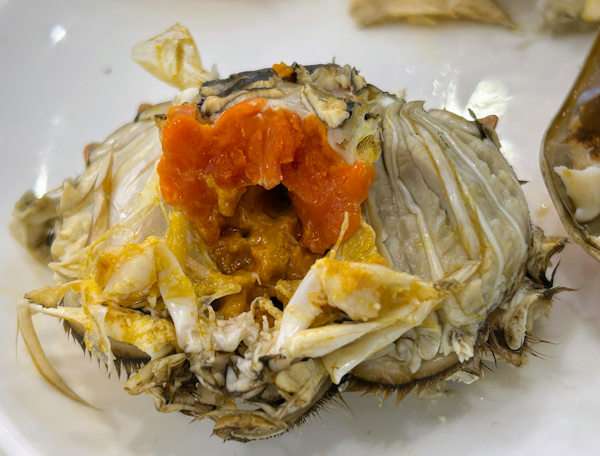 美味しそうな11月の上海ガニのメス