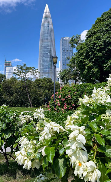 深圳人才公園内の流花山公園