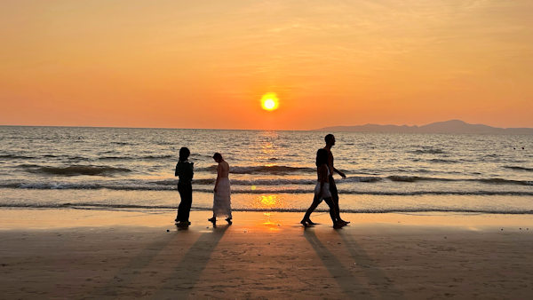 �p�^���̃L���x�[�W�A���h�R���h�[���Y�̗[�z