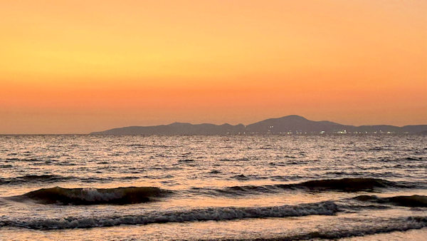 �p�^���̃L���x�[�W�A���h�R���h�[���Y����̕��i